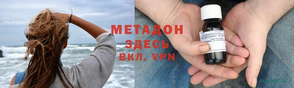 прущие грибы Белокуриха