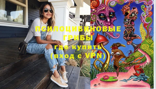сатива Няндома