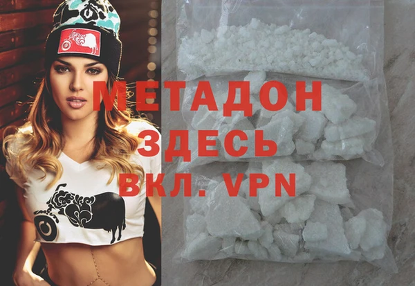 прущие грибы Белокуриха