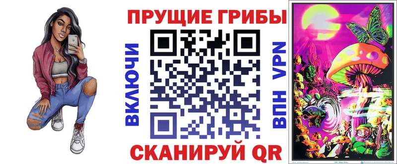 где купить   Богородицк  MEGA ONION  Псилоцибиновые грибы GOLDEN TEACHER 